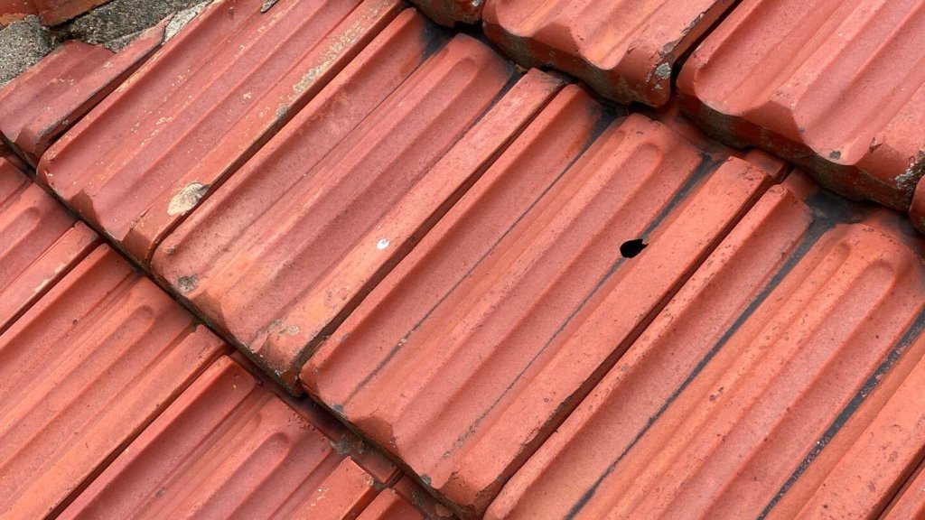 Clay French Tile Damaged from Hail Storm